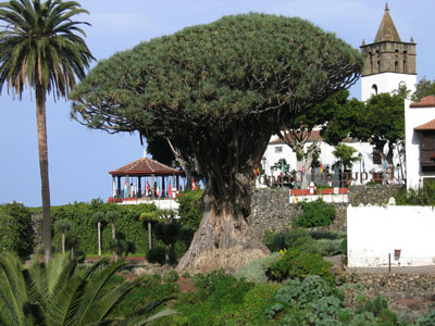 Hotel San Agustín - Ubicación